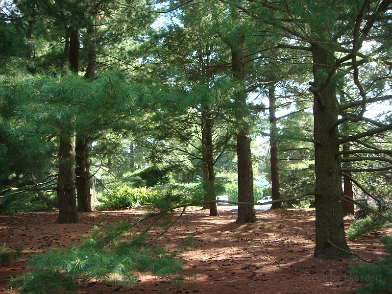 090 Longwood Gardens [2008 August 23].JPG - Longwood Gardens in Pennsylvania